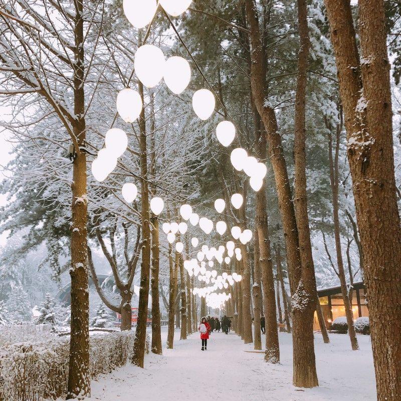 Snowy Land Day Tour | Reserve now and get special presents for early birds!