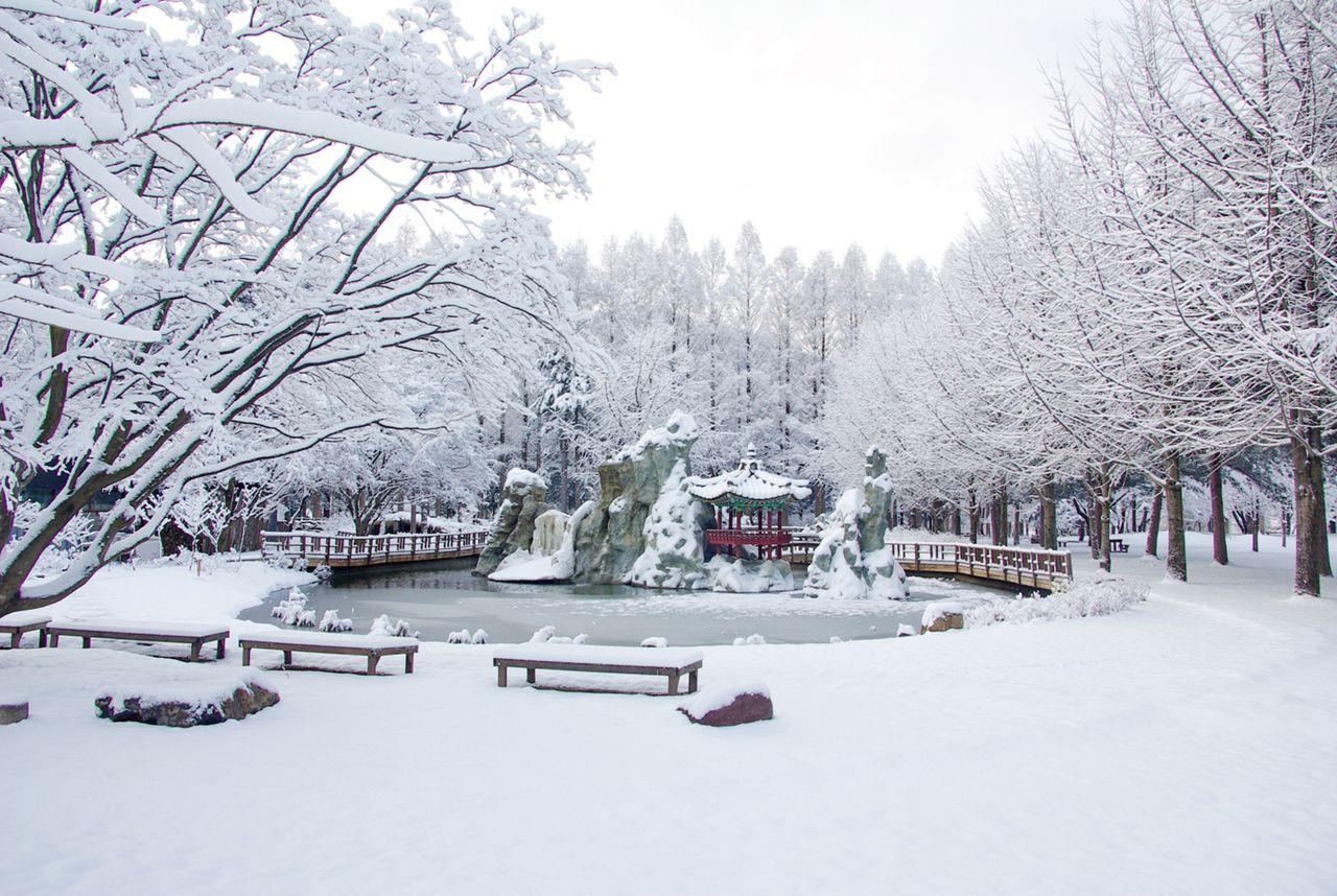 Snowy Land Day Tour | Reserve now and get special presents for early birds!