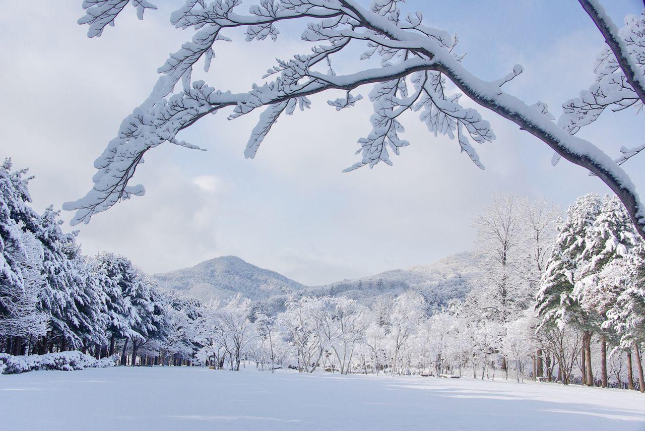 Snowy Land Day Tour | Reserve now and get special presents for early birds!