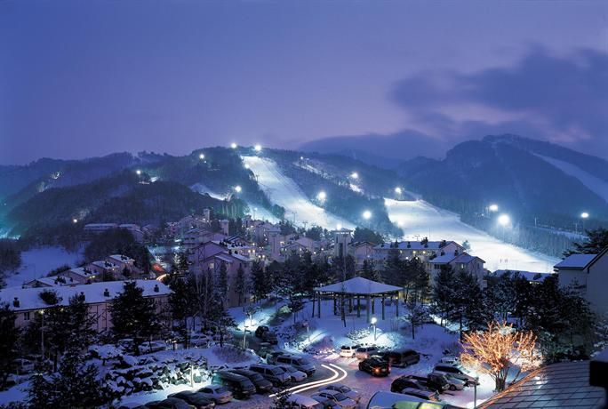 Pyeongchang Trout Fishing Festival+Ski Tour | Enjoy ice fishing, overnight stay, and cable car tour in just one tour!