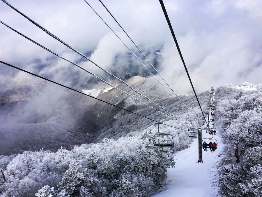 เทศกาลตกปลาเทราต์พยองชัง+สกีทัวร์ | สนุกกับการตกปลาน้ำแข็ง พักค้างคืนและทัวร์เคเบิลคาร์ในทัวร์เดียว! 