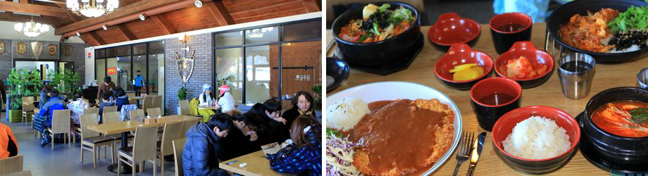 Pyeongchang Trout Fishing Festival+Ski Tour | Enjoy ice fishing, overnight stay, and cable car tour in just one tour!