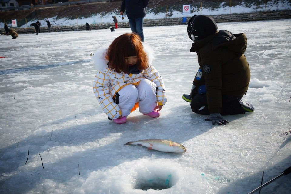 Pyeongchang Trout Fishing Festival+Ski Tour | Enjoy ice fishing, overnight stay, and cable car tour in just one tour!