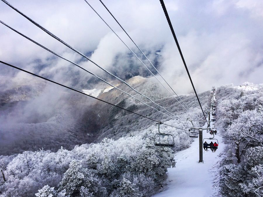 Festival de pesca de truchas de Pyeongchang + Tour de esquí | ¡Disfruta de la pesca en hielo, estancia nocturna y tour en teleférico en un solo tour!