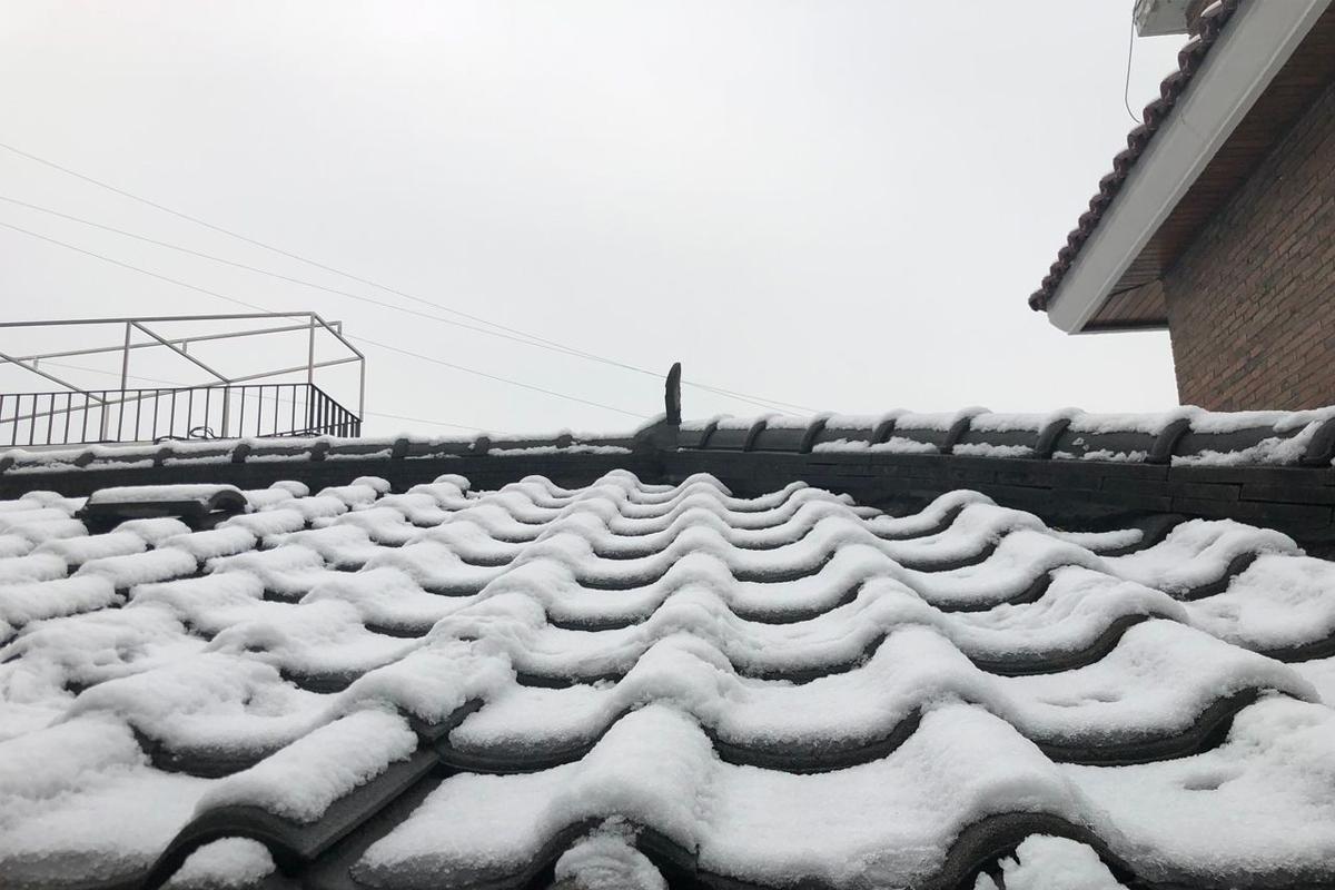 2025 Korea Winter Guide snowy rooftop