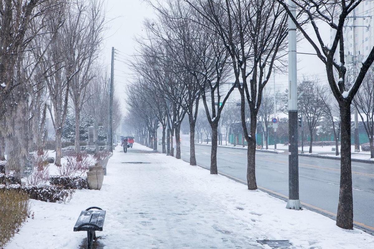 2025 Korea Winter Guide snowy sidewalk