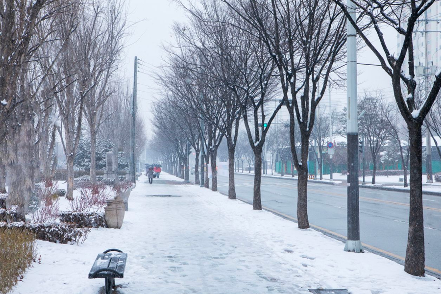 韓國冬天 推薦 行程 旅遊 溫度