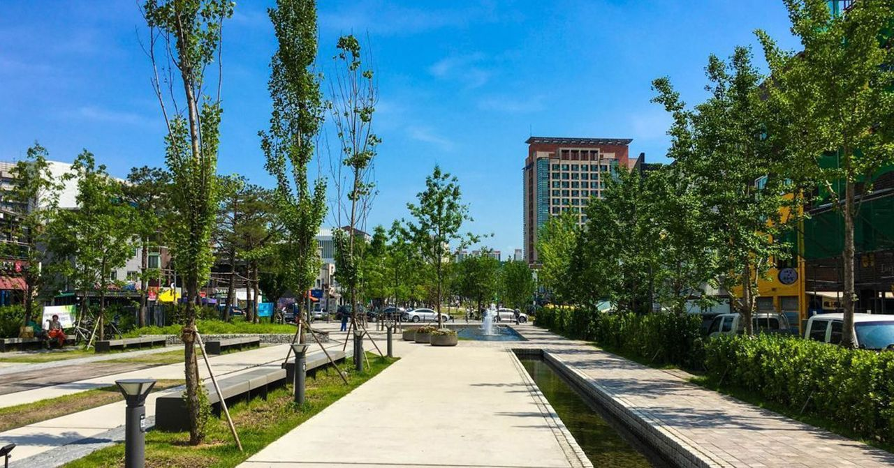 서울 연남동 거리의 한적한 산책로. 아름답게 정돈된 나무들이 보인다.