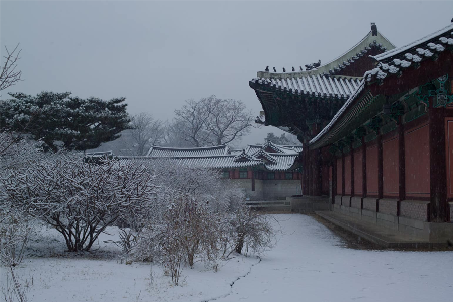 韓國 初雪 2025 韓國下雪冬天