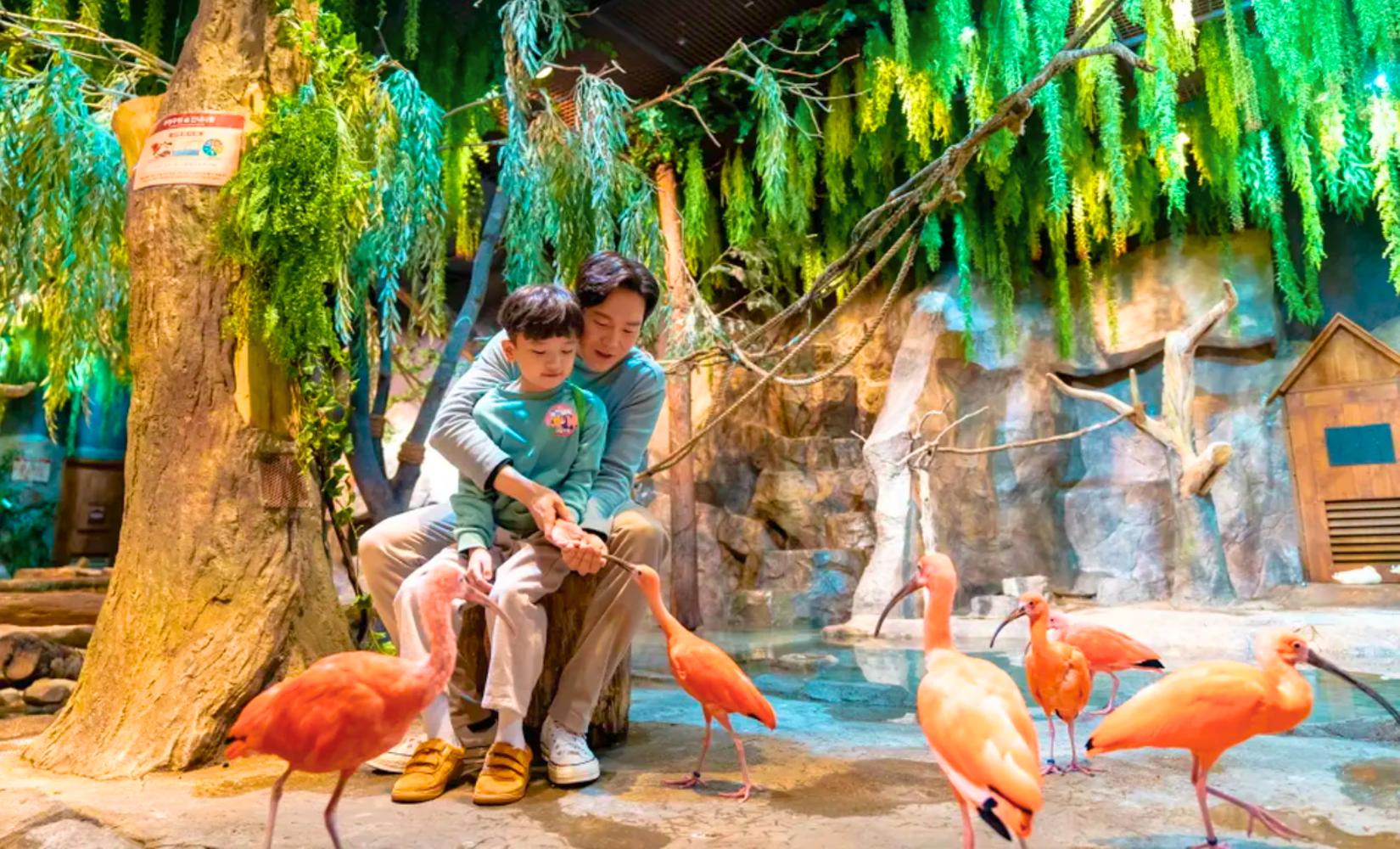 Zoolungzoolung: Sở thú trong nhà cực hot ở Yeongdeungpo và Gyeongju