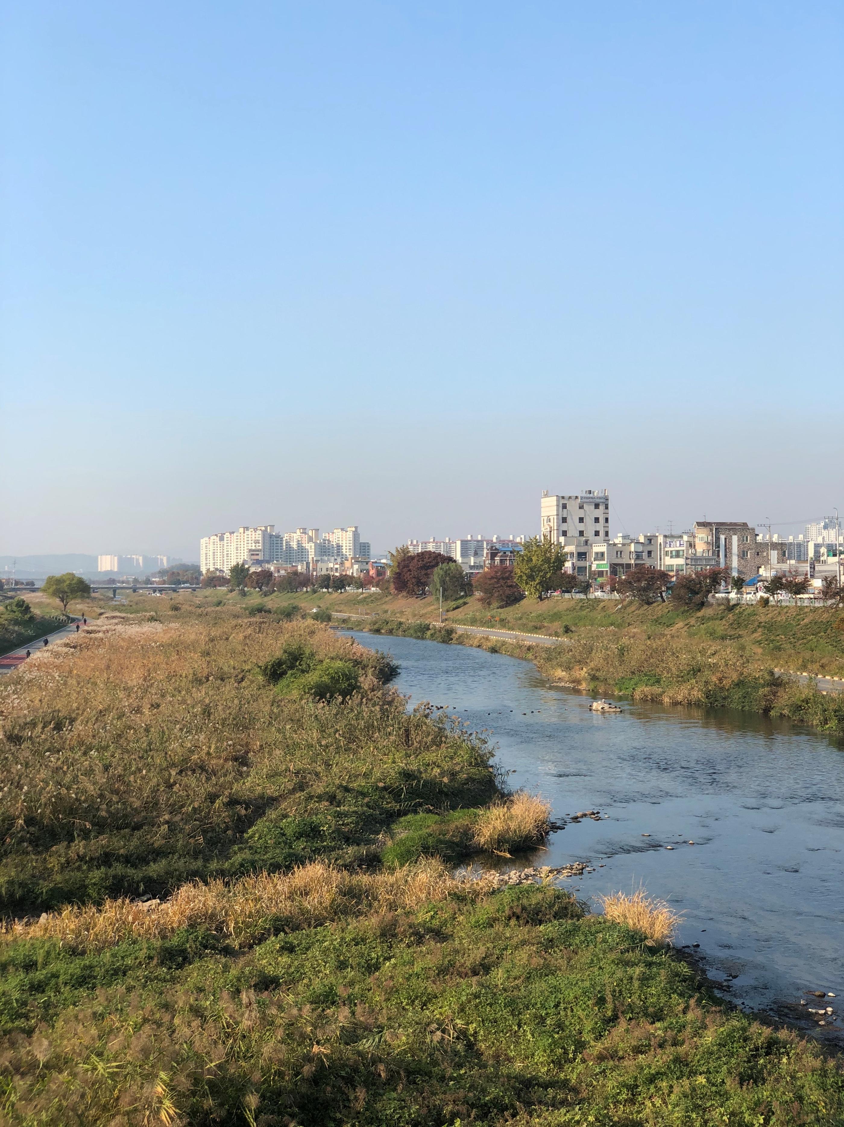 从清州OOA咖啡厅望向河堤的景色，清晰的秋日风光展现于眼前。