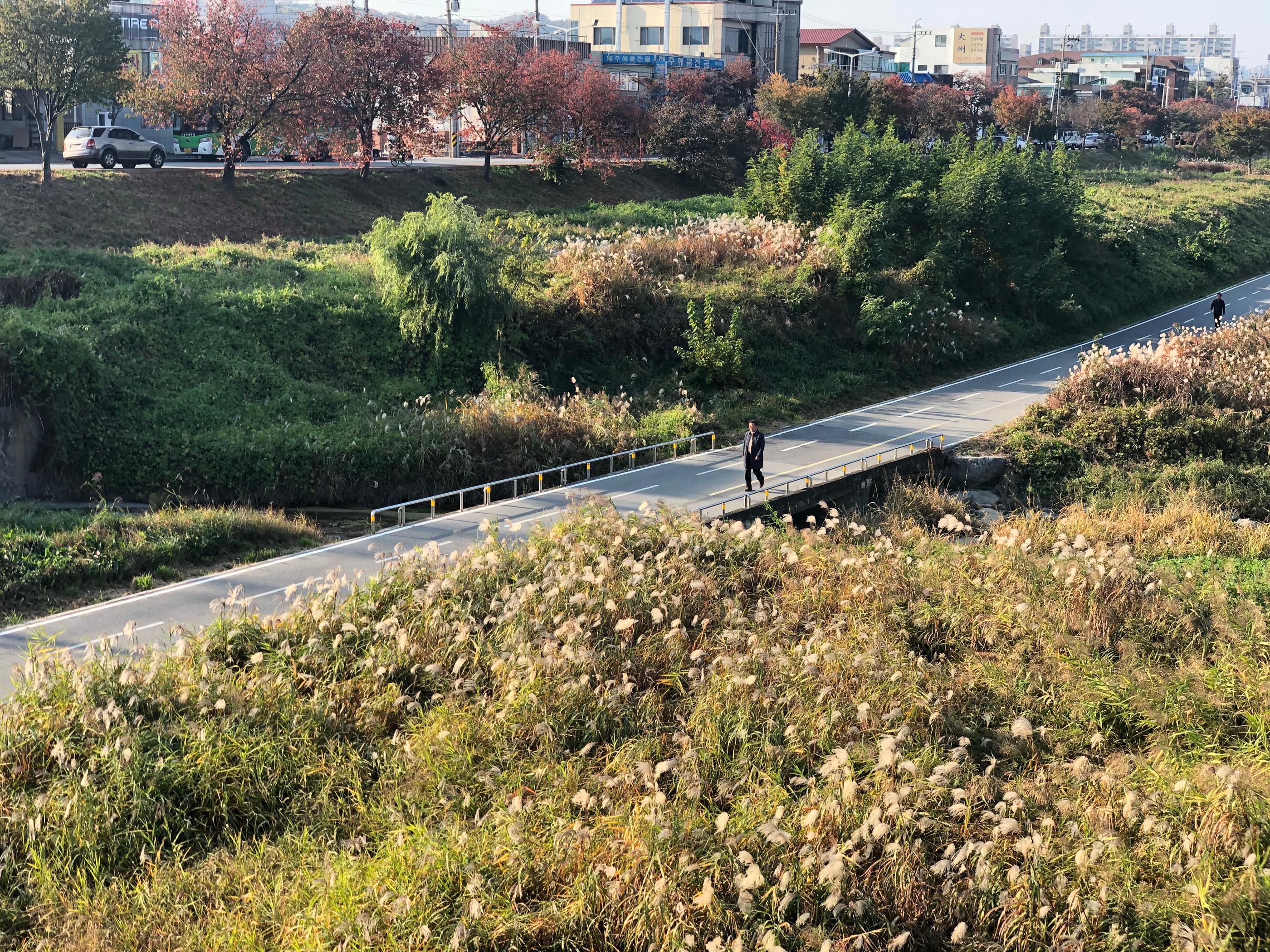 清州OOA咖啡厅的室外，临近河堤，适合拍摄和欣赏旖旎风光的好地方。