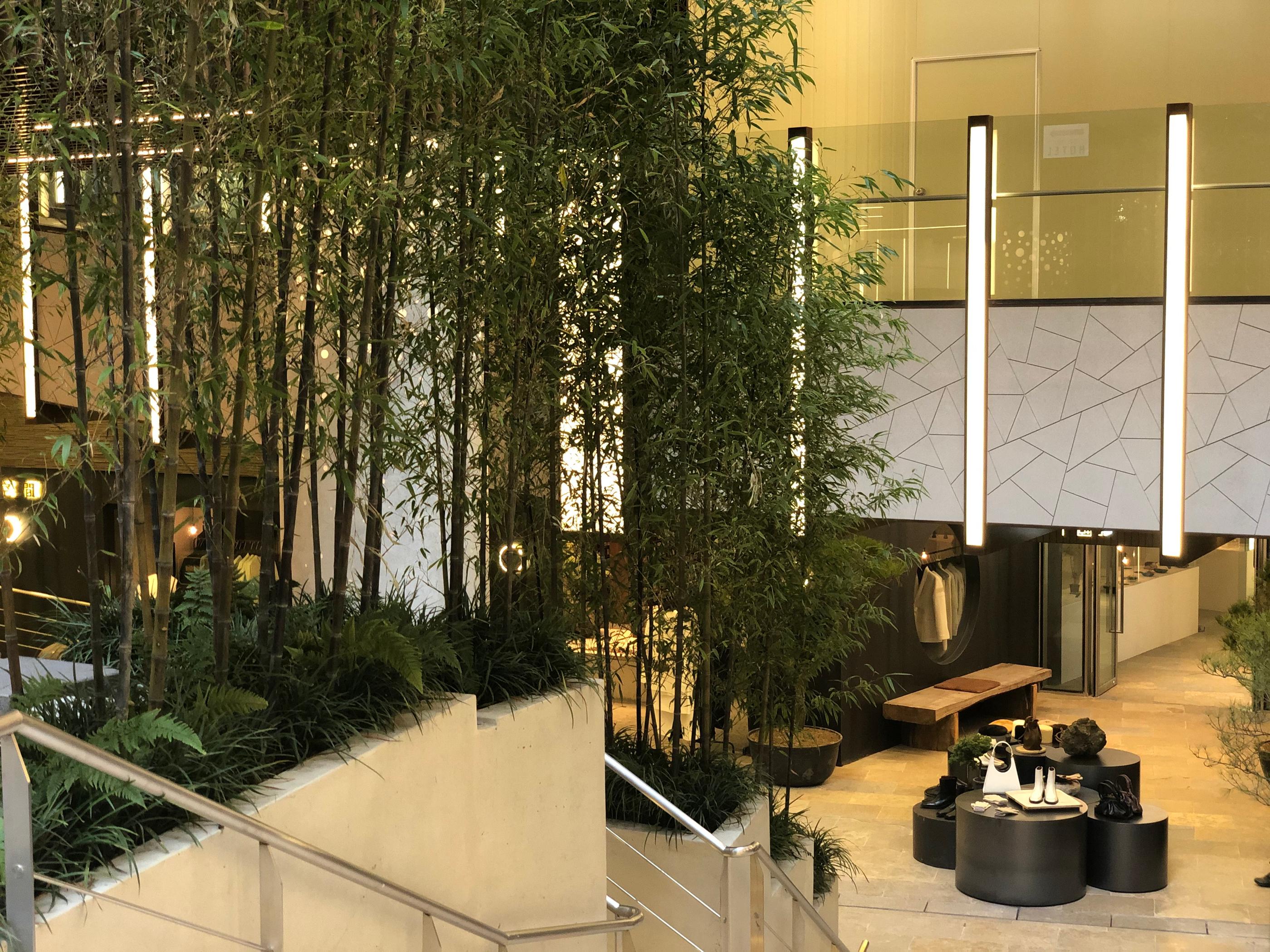 The new "Anyoung Insadong" shopping mall, home to LINE, BT21, Sigonggan AND Minions!