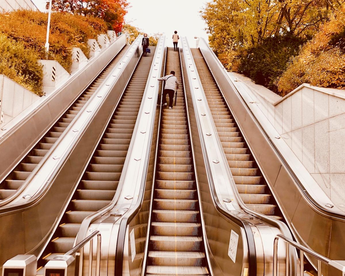 문화비축기지 : 하늘공원 옆 숨겨진 힐링 핫스팟 & 서울의 떠오르는 출사지!