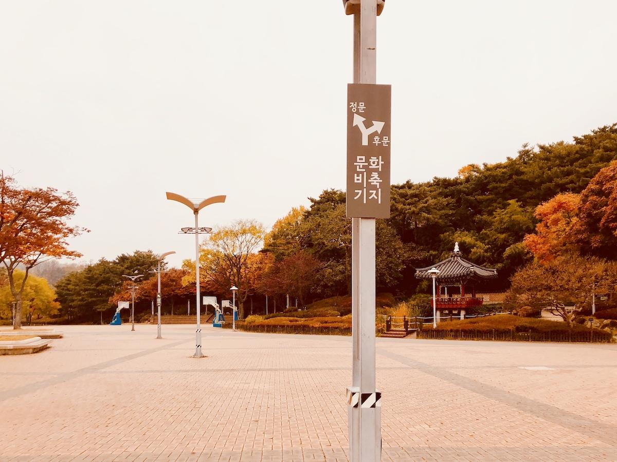 문화비축기지 : 하늘공원 옆 숨겨진 힐링 핫스팟 & 서울의 떠오르는 출사지!