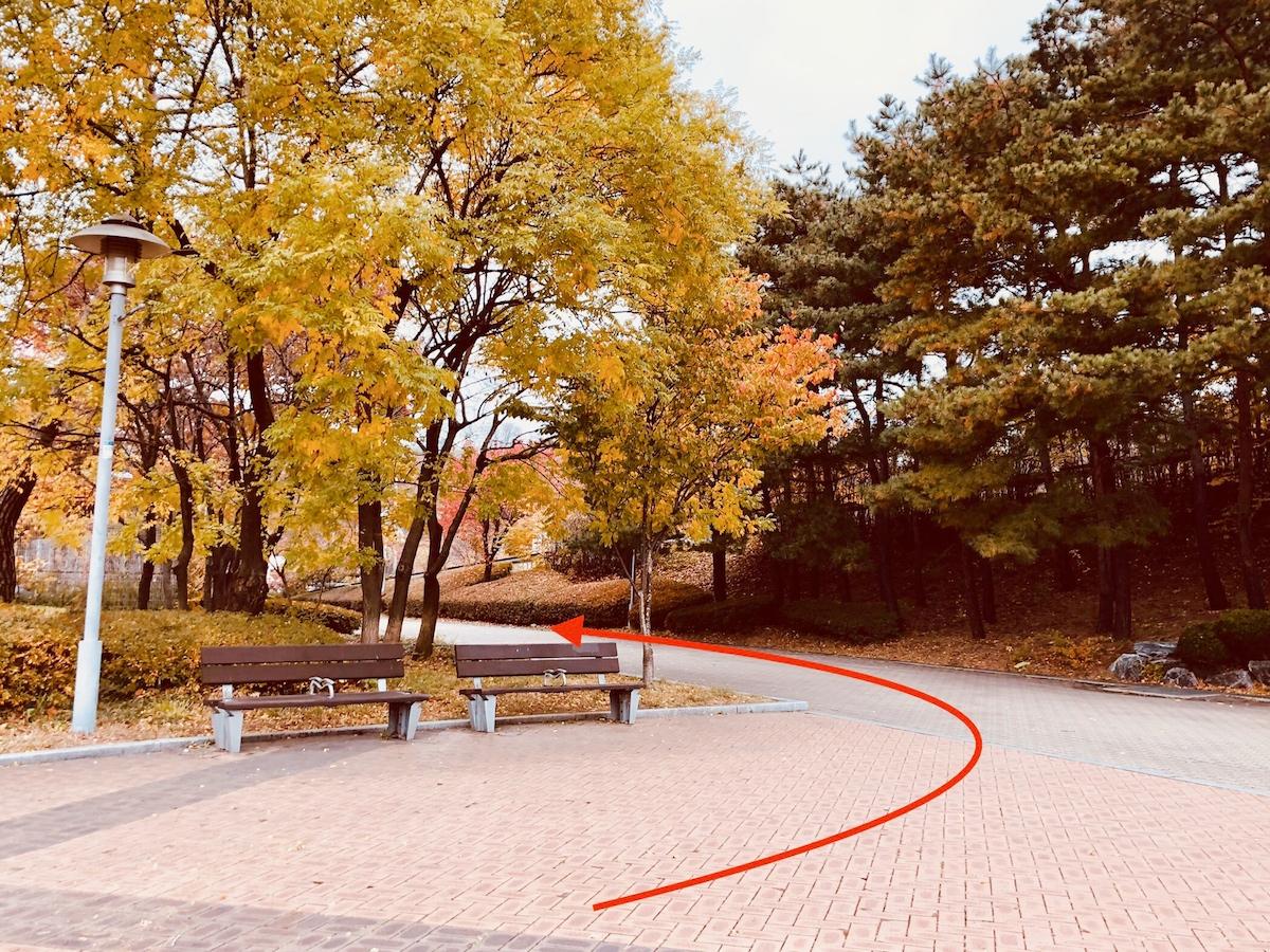 문화비축기지 : 하늘공원 옆 숨겨진 힐링 핫스팟 & 서울의 떠오르는 출사지!