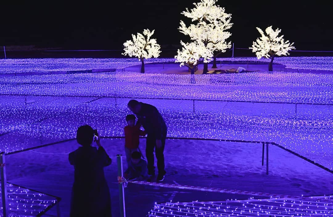 Busan christmas celebrations. christmas festival. light festival. christmas tree. nampodong. haeundae. the bay 101. gijang.