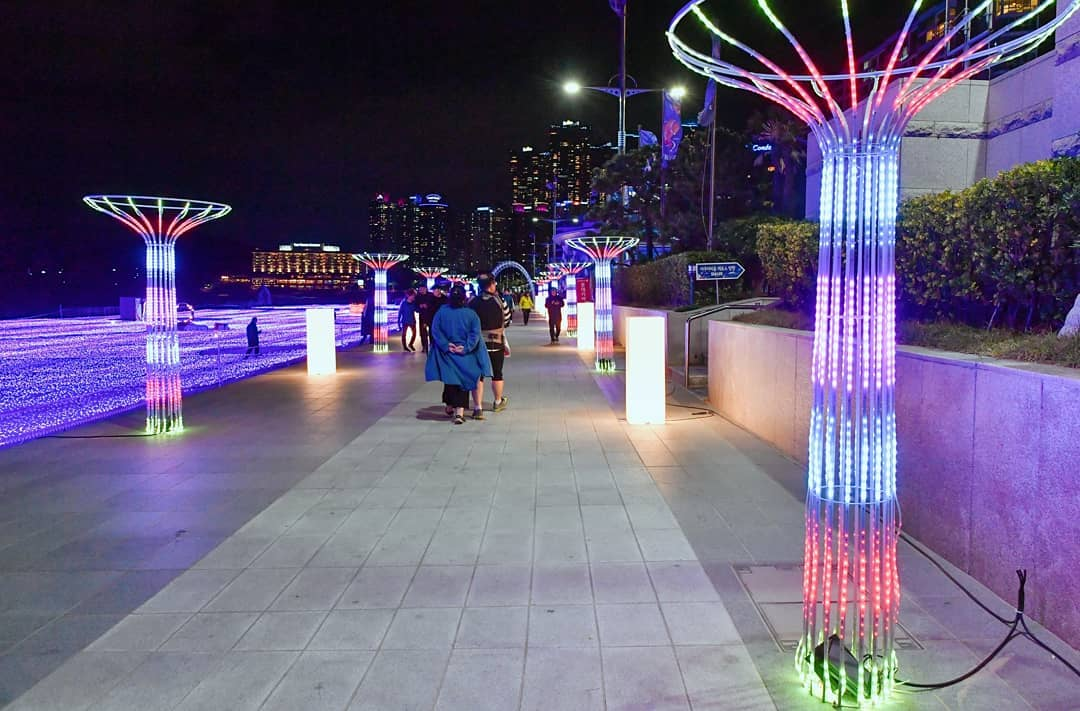 Busan christmas celebrations. christmas festival. light festival. christmas tree. nampodong. haeundae. the bay 101. gijang.