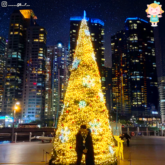 Busan christmas celebrations. christmas festival. light festival. christmas tree. nampodong. haeundae. the bay 101. gijang.