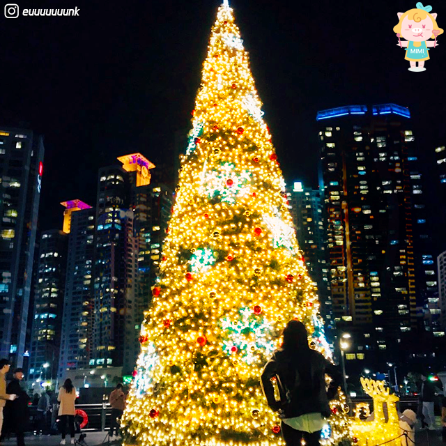 Busan christmas celebrations. christmas festival. light festival. christmas tree. nampodong. haeundae. the bay 101. gijang.