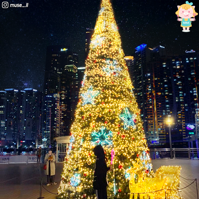 Busan christmas celebrations. christmas festival. light festival. christmas tree. nampodong. haeundae. the bay 101. gijang.