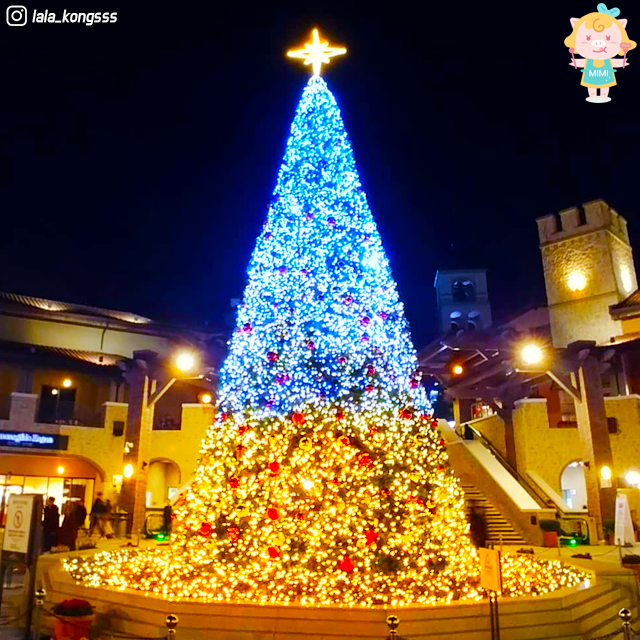Busan christmas celebrations. christmas festival. light festival. christmas tree. nampodong. haeundae. the bay 101. gijang.