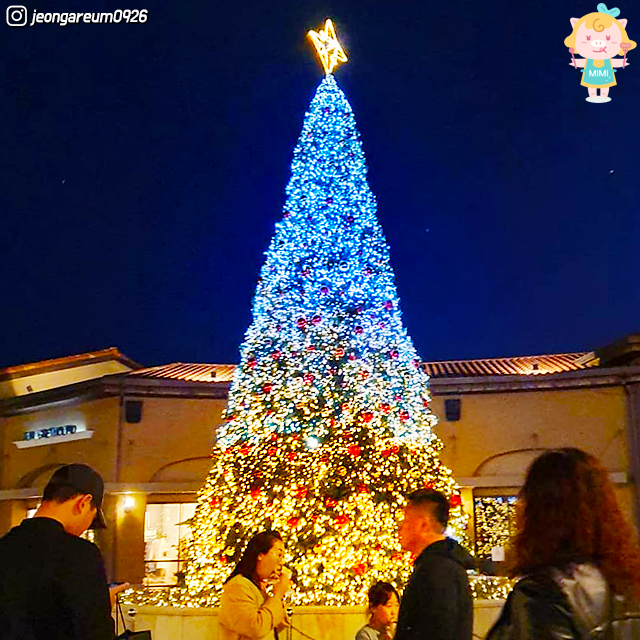 Busan christmas celebrations. christmas festival. light festival. christmas tree. nampodong. haeundae. the bay 101. gijang.