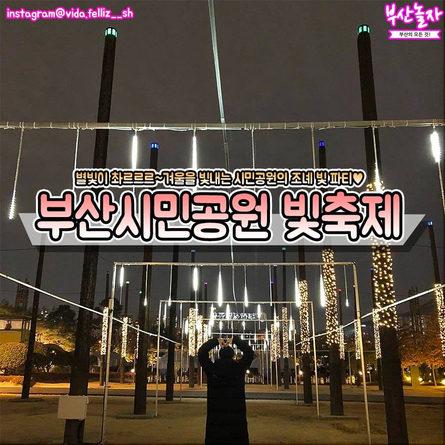 Busan christmas celebrations. christmas festival. light festival. christmas tree. nampodong. haeundae. the bay 101. gijang.