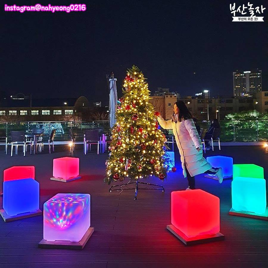 Busan christmas celebrations. christmas festival. light festival. christmas tree. nampodong. haeundae. the bay 101. gijang.