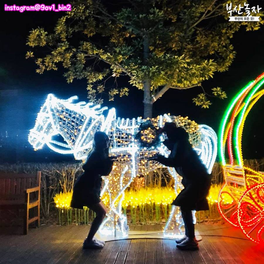 Busan christmas celebrations. christmas festival. light festival. christmas tree. nampodong. haeundae. the bay 101. gijang.