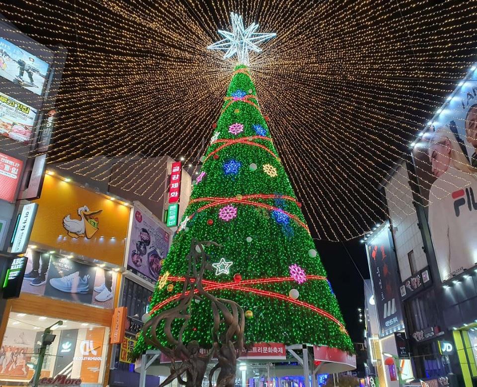 Creatrip Busan Christmas Celebrations Busan/Korea (Travel Planning)