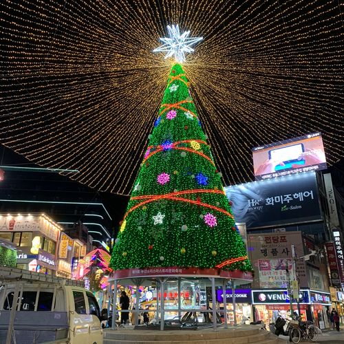 Busan Christmas Tree Festival 2022 Creatrip: Busan Christmas Celebrations