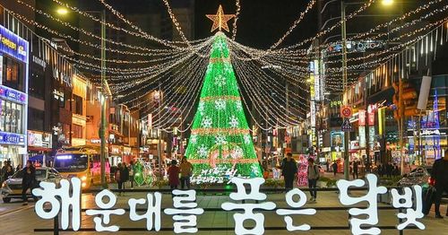 Busan christmas celebrations. christmas festival. light festival. christmas tree. nampodong. haeundae. the bay 101. gijang.