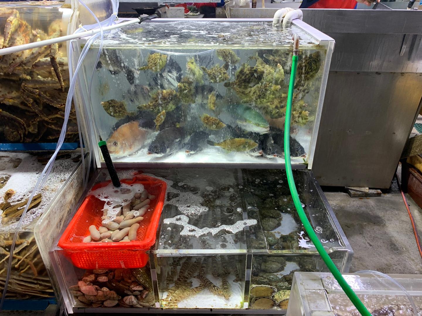 Busan Jagalchi Market: Daeseong Sashimi for The Great Fresh Sashimi and Seafood of Highest Quality in Busan!