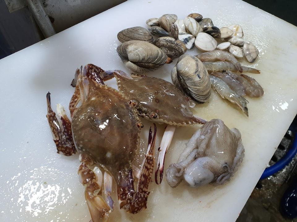 Busan Jagalchi Market: Daeseong Sashimi for The Great Fresh Sashimi and Seafood of Highest Quality in Busan!