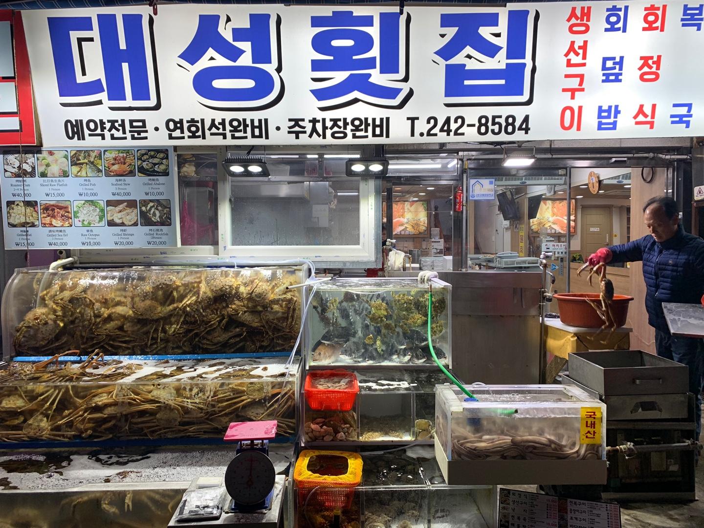 Busan Jagalchi Market: Daeseong Sashimi for The Great Fresh Sashimi and Seafood of Highest Quality in Busan!