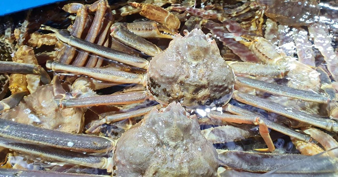 Daeseong Sashimi | Nhà hàng hải sản tươi ngon ở chợ Jagalchi, Busan 