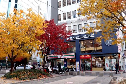 You Are Here, Myeongdong Premium Brunch & Bakery Cafe: Have a great brunch with beautiful maple or snow view