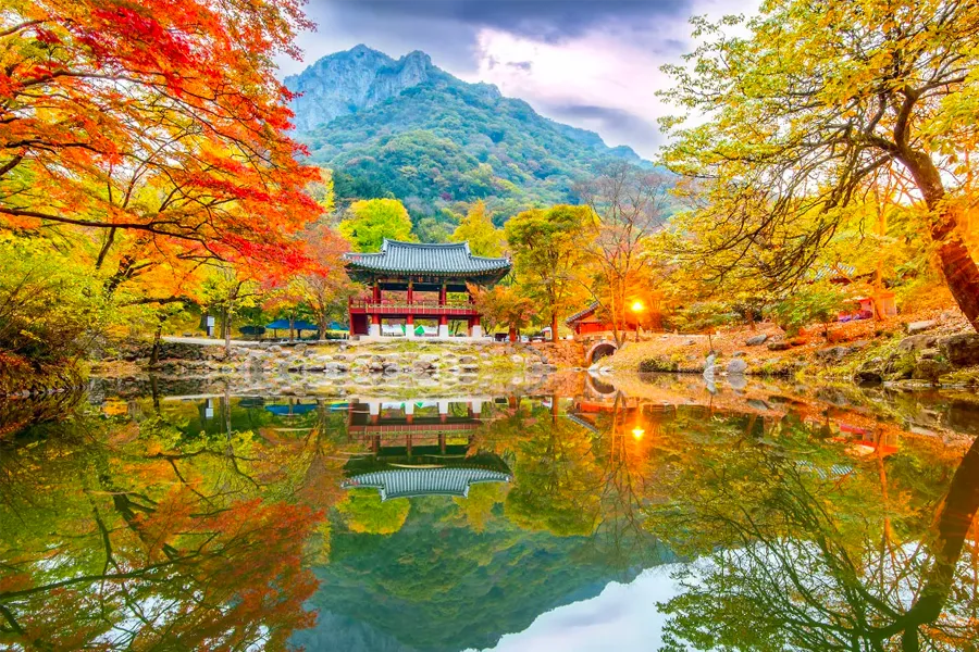 Vibrant fall foliage reflected in a serene pond at Naejangsan National Park, showcasing Korean autumn beauty.