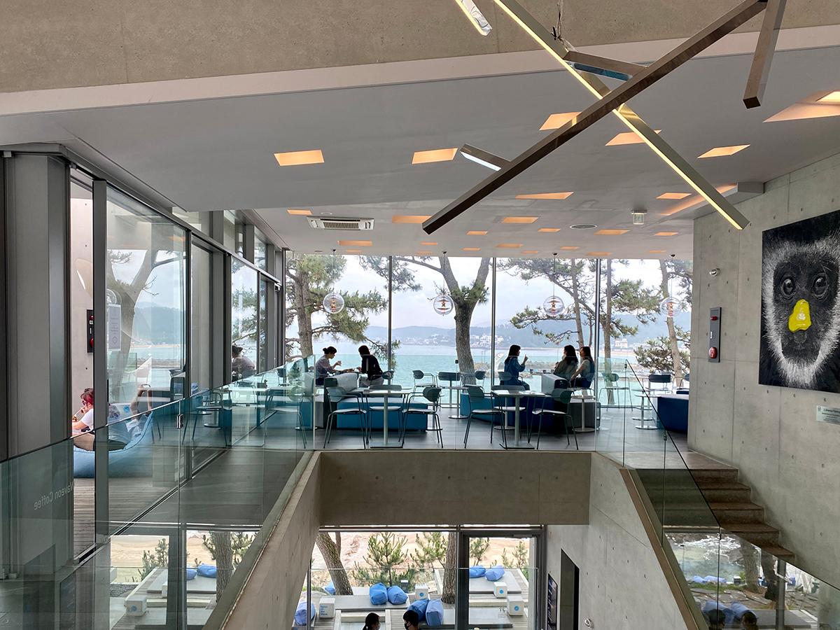 Sitzbereich neben der Treppe im Waveon Coffee mit Panoramablick