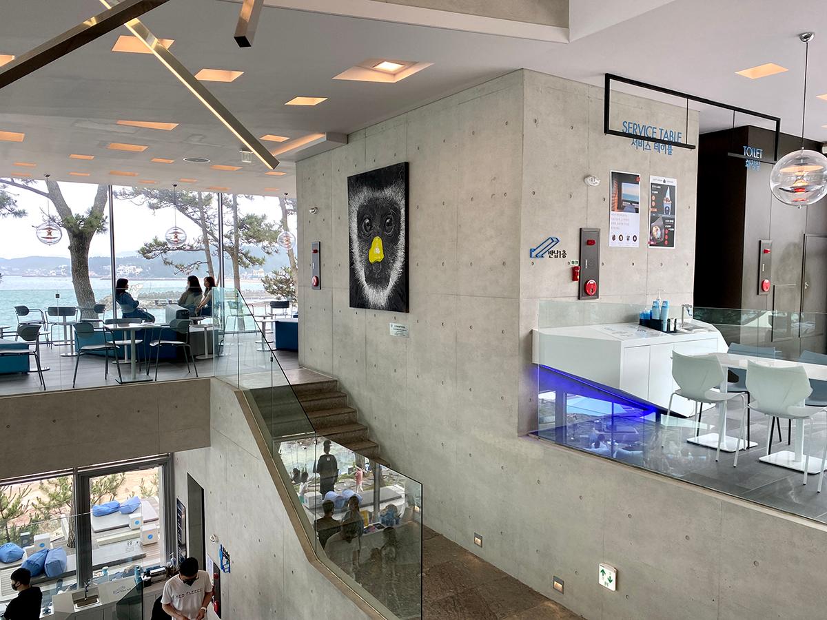 Innenbereich des Waveon Coffee mit schicken weißen und blauen Möbeln