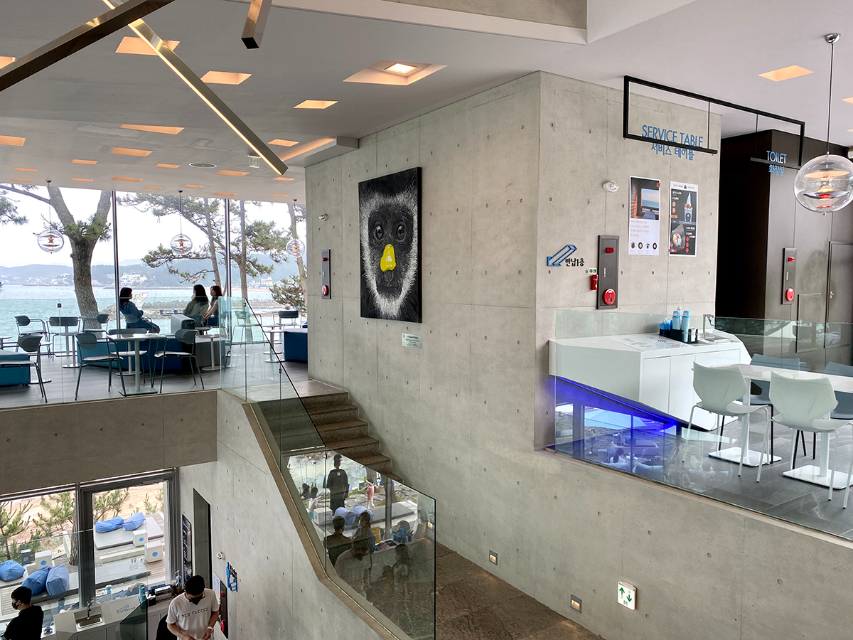 釜山機張coffe shop