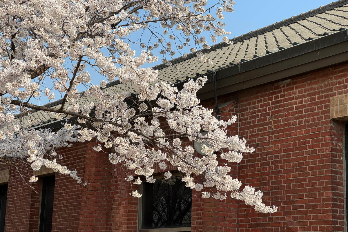 韓國一日男友 韓國一日女友 一日男友 一日女友 韓國社會 韓國潮流 韓國社會現象 租男友 租女友