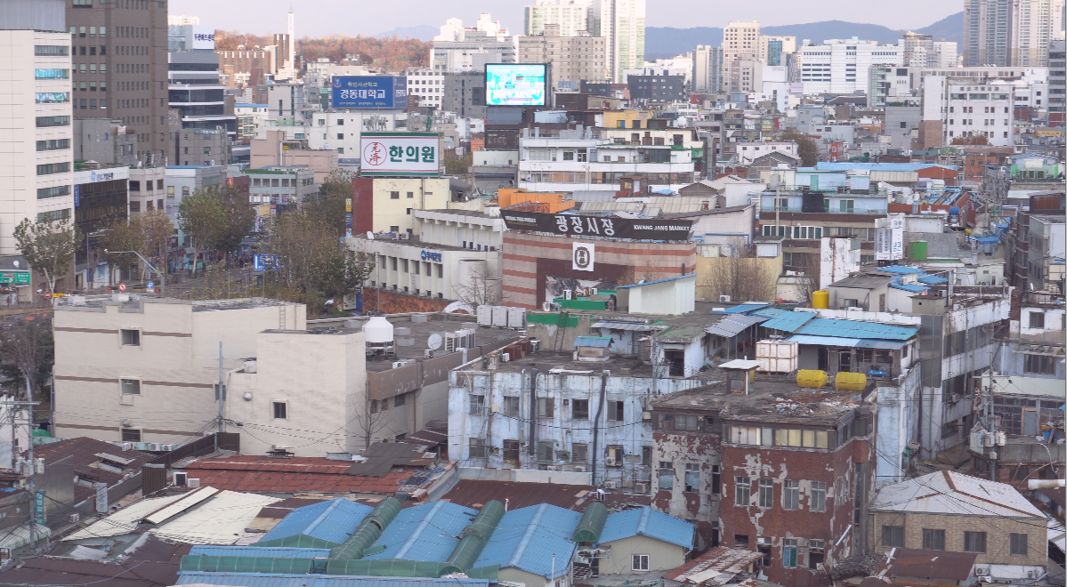 korea, seoul, euljiro, myeongdong, dongwonjib, gamja, soup, tang, sewoon, cafe, jan, bar, manseon hof, restaurant, street food, travel, tour, oppa