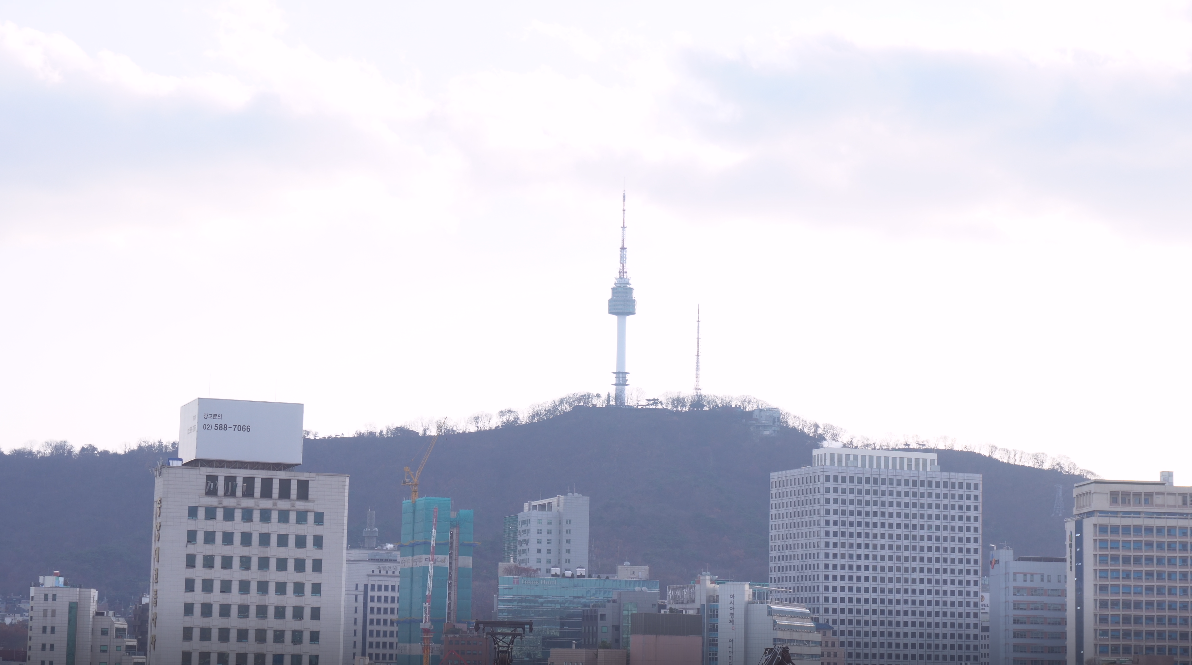 korea, seoul, euljiro, myeongdong, dongwonjib, gamja, soup, tang, sewoon, cafe, jan, bar, manseon hof, restaurant, street food, travel, tour, oppa