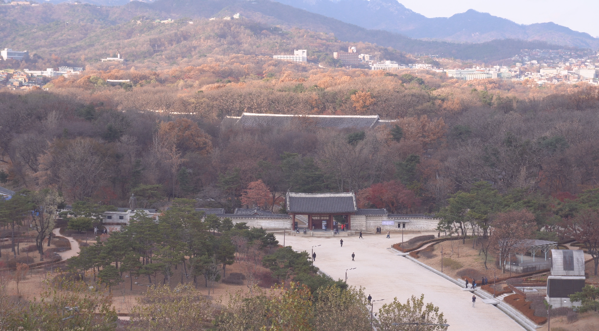 korea, seoul, euljiro, myeongdong, dongwonjib, gamja, soup, tang, sewoon, cafe, jan, bar, manseon hof, restaurant, street food, travel, tour, oppa