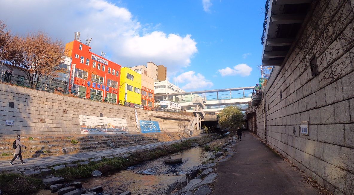 korea, seoul, euljiro, myeongdong, dongwonjib, gamja, soup, tang, sewoon, cafe, jan, bar, manseon hof, restaurant, street food, travel, tour, oppa