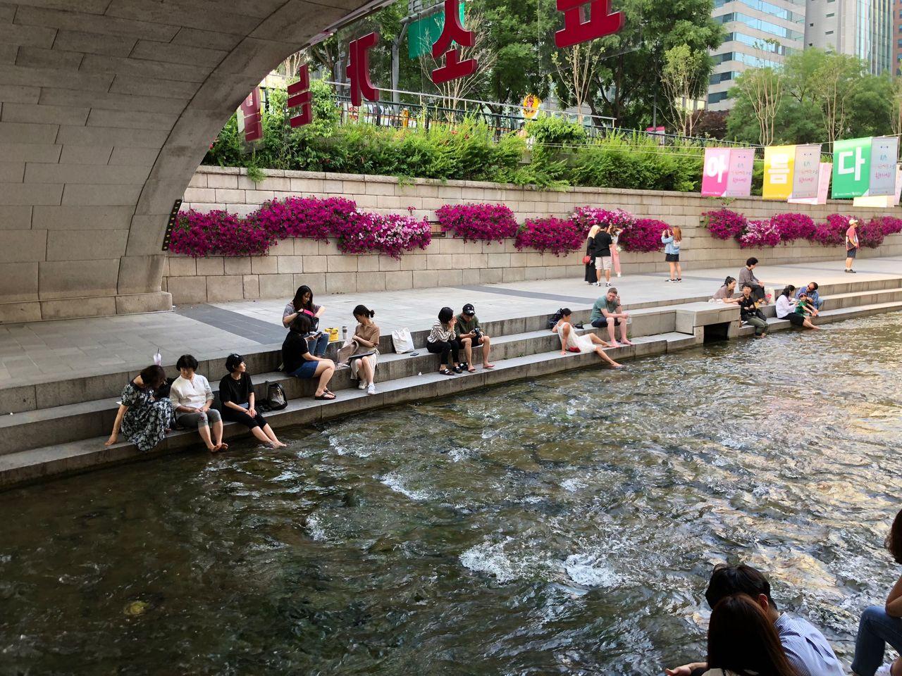 korea, seoul, euljiro, myeongdong, dongwonjib, gamja, soup, tang, sewoon, cafe, jan, bar, manseon hof, restaurant, street food, travel, tour, oppa