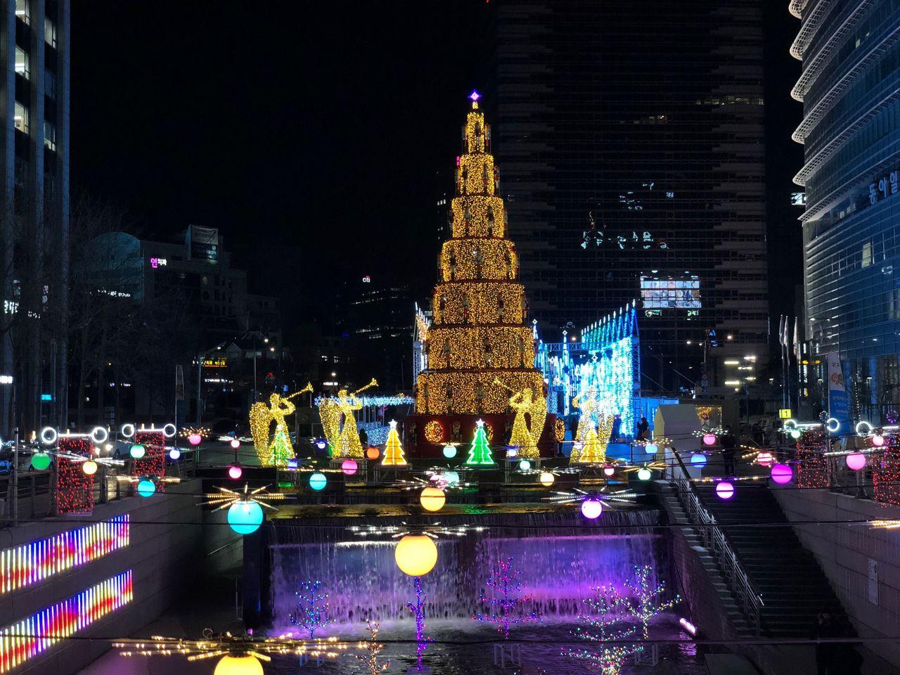 korea, seoul, euljiro, myeongdong, dongwonjib, gamja, soup, tang, sewoon, cafe, jan, bar, manseon hof, restaurant, street food, travel, tour, oppa