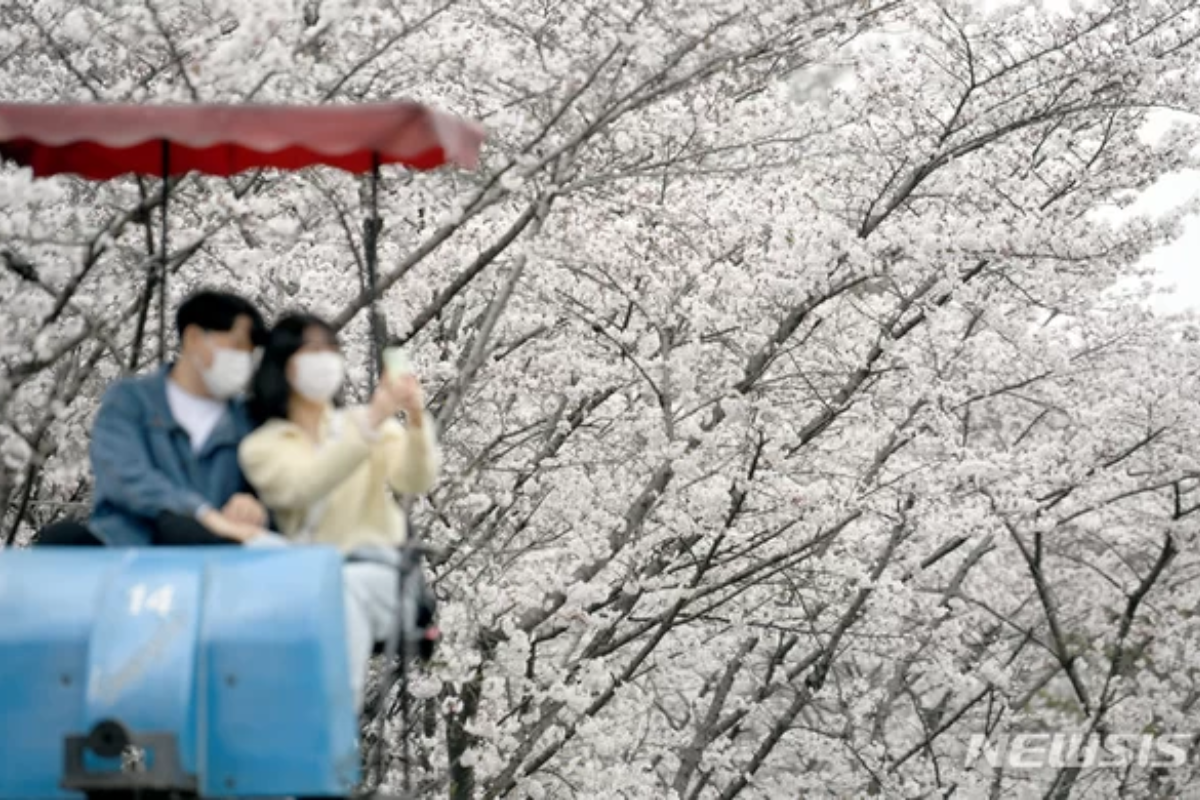 韓國一日男友 韓國一日女友 一日男友 一日女友 韓國社會 韓國潮流 韓國社會現象 租男友 租女友